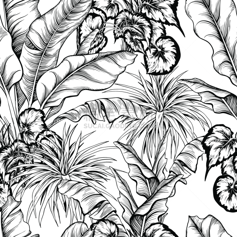 杂色的,植物群,热带植物图案,纺织品,热带气候,环境,丝兰,现代,吊竹梅,四方连续纹样