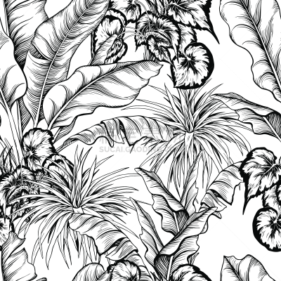 杂色的,植物群,热带植物图案,纺织品,热带气候,环境,丝兰,现代,吊竹梅,四方连续纹样
