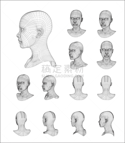 接线框,三维图形,模型,人的头部,人造的,商务,人,生物识别,铁丝网,生物科技