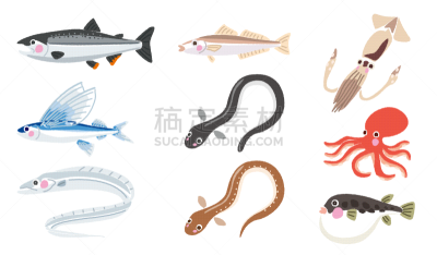 绘画插图,鱼类,多样,海洋,太平洋鲑鱼,鳗鱼,海鳗,鱿鱼,水族馆,图像