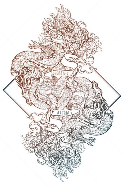龙,数字2,秘密,华丽的,阴阳符,背景分离,热情,多样,动物,背景