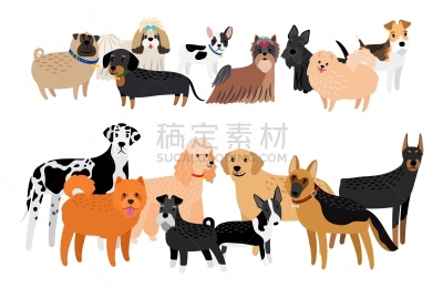 狗,个性,可爱的,大麦町,纯种犬,梗犬,背景分离,法国,哺乳纲,哈巴狗