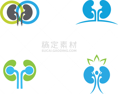 肾脏,生物学,健康保健,部分,家庭,门诊部,模板,品牌名称