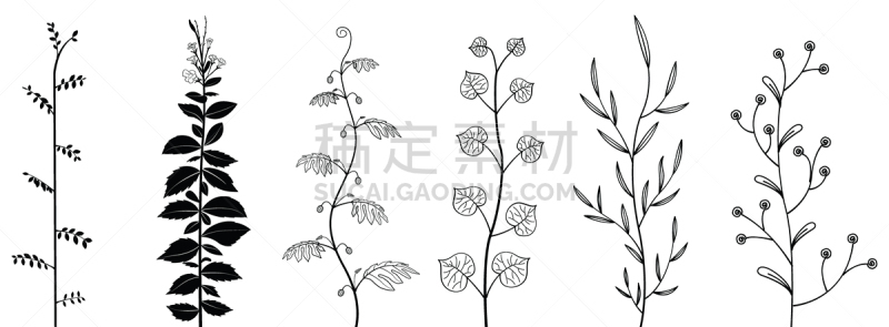 枝,叶子,手,矢量,天气,可爱的,浪漫,婚礼,枝繁叶茂,绘画插图