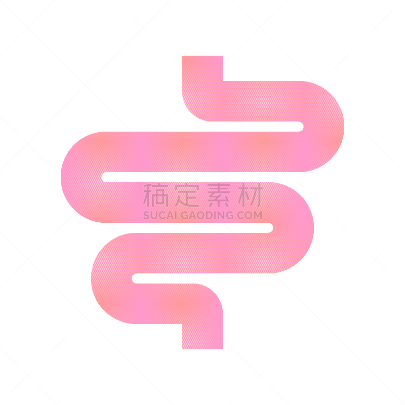 小肠,图标集,矢量,健康保健,图像,小的
