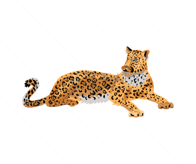 美洲豹,绘画插图,矢量,野生猫科动物,背景分离,热带气候,野生动物,猎豹,哺乳纲,猫科动物