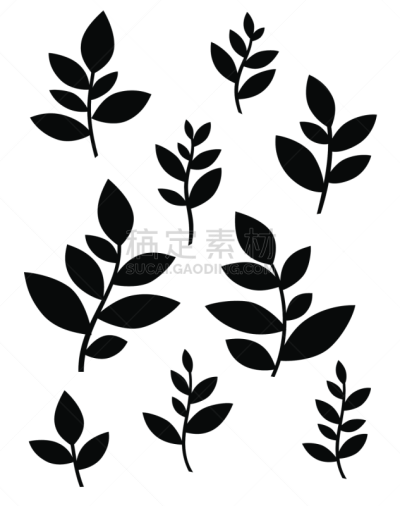 简单,漏字板,叶子,华丽的,假叶树属,背景分离,环境保护,模板,草,春天