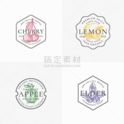 品牌名称,证章,水果,浆果,食品,蓝莓,接骨木果,樱桃,模板,布置