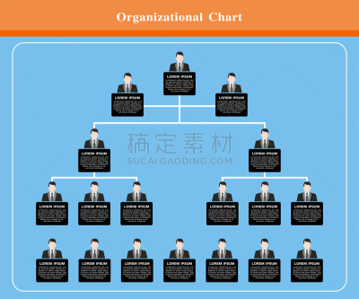 矢量,数码图形,数据,商务,流程图,经理,模板,图表,想法,层级