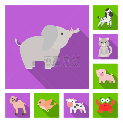 动物,完美,平坦的,计算机图标,平衡折角灯,斑马,纯种犬,象,哺乳纲,收集
