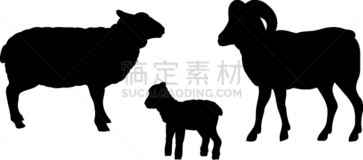 黑色,羊羔,动物,哺乳纲,绵羊,公羊,农场,婴儿,家庭,剪影