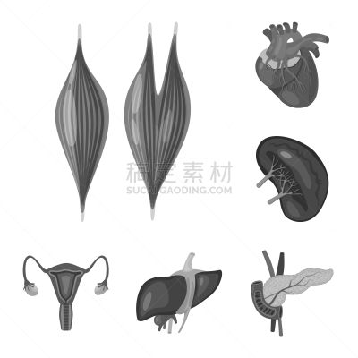 里面,医疗标志,生物学,健康保健,灰色,莫诺湖,肝炎,主动脉,保护,研究