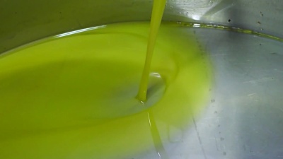 特级橄榄油磨坊。