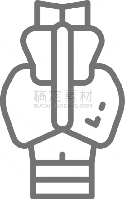 尾骨,髂骨,骶骨,坐骨,脊柱,生物学,商务,健康保健,骨盆