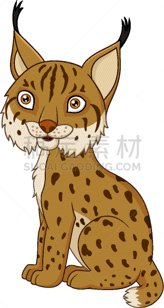 山猫,卡通,分离着色,可爱的,白色,自然,动物园,狞獾,斑点,坐