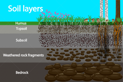 soil layers diagram for layer soil
