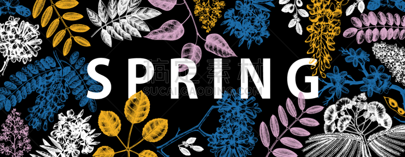 banner with spring trees in flowers hand d