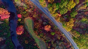 在宾夕法尼亚州波科诺斯的阿巴拉契亚山脉的森林里，道路的顶端有秋天的树叶。无人机视频。