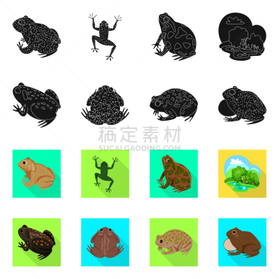 野生动物,藓沼,品牌名称,舞台,生物学,有毒物质,草,动物,牛蛙,两栖纲
