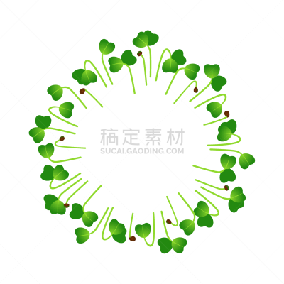microgreens mizuna arranged in a circle white