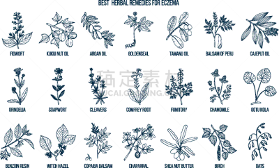 湿疹,草药,生物学,健康保健,皮炎,药,谢伊体育馆,环境,榛子树,肥皂草