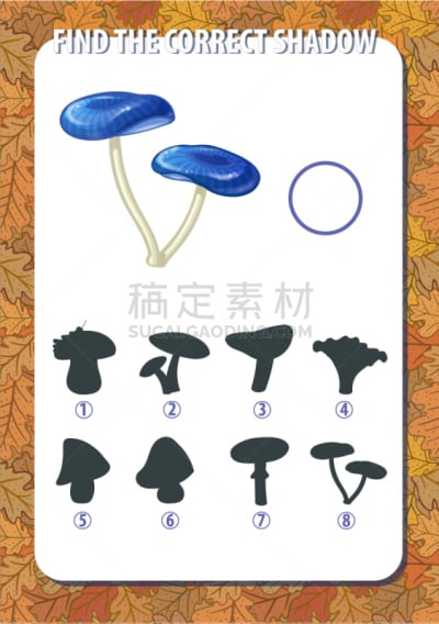 儿童,阴影,游戏,黄色,自然,秋天,比较,垂直画幅,肖像,探索