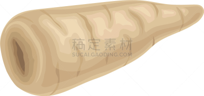 荷兰防风草,叶子,根部,绿色,一个物体,农业,华丽的,蔬菜,素食,清新