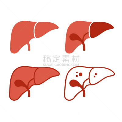 计算机图标,动机,白色背景,肝脏,分离着色,白色,生物学,生病