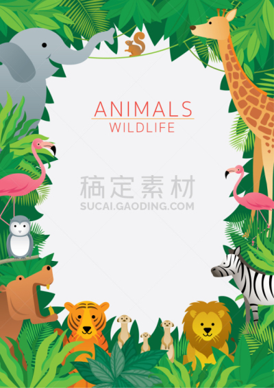 热带雨林,野外动物,边框,可爱的,斑马,野生动物,公园,狮子,象,动物