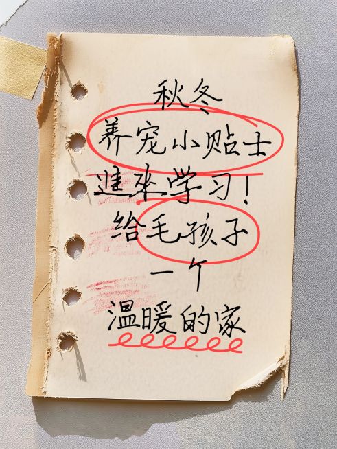 爆款吸睛大字复古背景小红书封面aigc预览效果