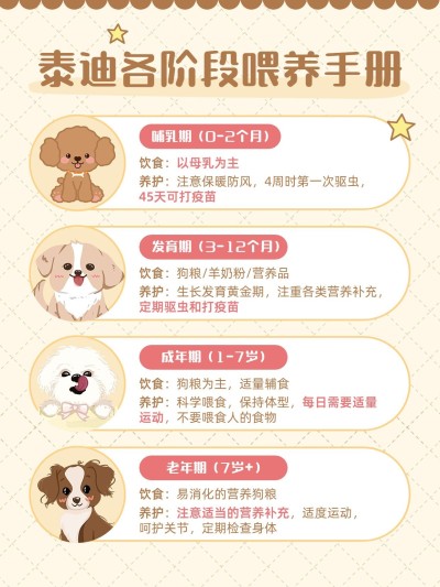 宠物狗狗知识科普套装小红书配图