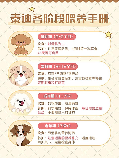 宠物狗狗知识科普套装小红书配图