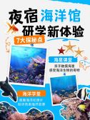 模板缩略图