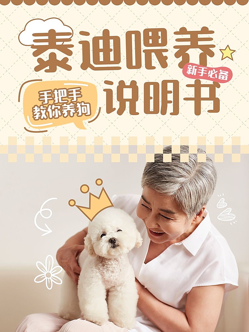 宠物狗狗知识科普套装小红书封面