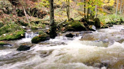秋色狂野的杜布拉瓦河，风景如画