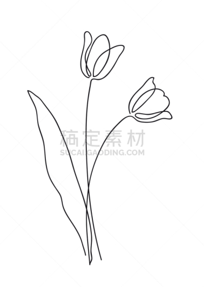 郁金香,春天,绘画插图,轮廓,符号,概念,花束,矢量,手,式样