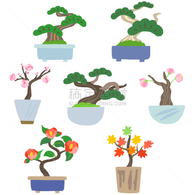 盆景,日本,室内植物,可爱的,传统,装饰物,李树,日本松,松树,樱桃树