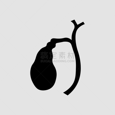 胆囊,人,健康保健,新陈代谢,胞囊的,胆汁,石头,问题,顺序