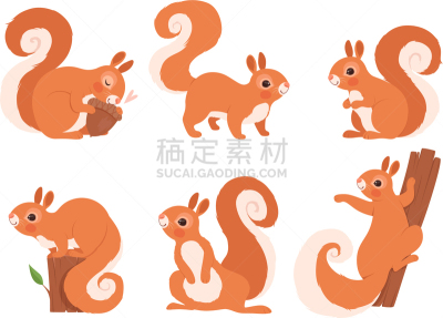松鼠,可爱的,小的,动物,动物园,森林,动作,插画,摆拍,野生动物