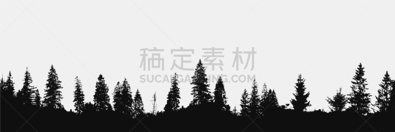 森林,背景,黄昏,公园,云杉,杉树,格林伍得,户外,剪影,写实