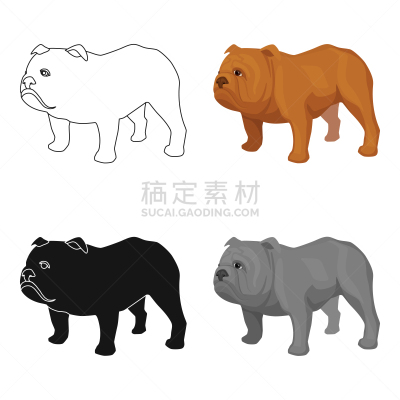 分离着色,卡通,英格兰斗牛犬,高雅,图标,可爱的,宠物,自然,图像,设计
