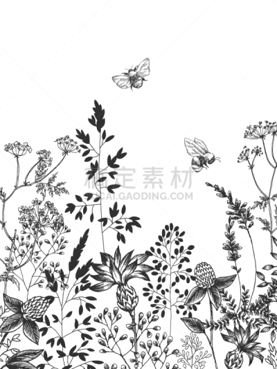 花朵,枝,野花,背景,直的,婚礼,自然美,调味品,春天,复古