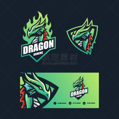 模板,龙,概念,可爱的,传统,运动,动物,品牌名称,设计