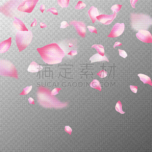 pink sakura petals realistic pink falling cherry
