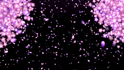 花与雪
