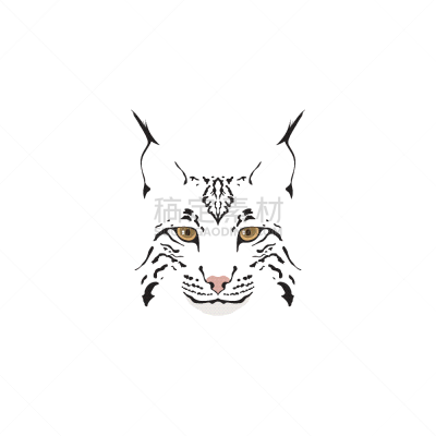 山猫,分离着色,白色,自然,动物园,狞獾,野生动物,猫,哺乳纲