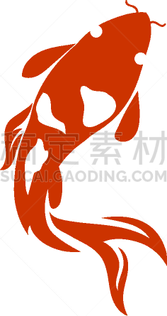 动物,鲤鱼,锦鲤,式样,鱼类,白色背景,传统,池塘,自然美