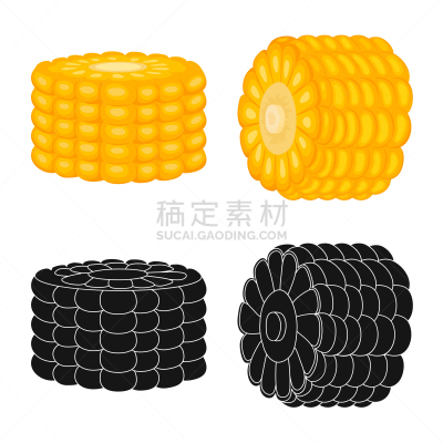 蔬菜,图标,农业,热,谷物,清新,食品,熟的,成分,设计