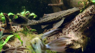 水族馆