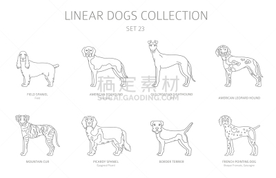 狗,分离着色,线条,白色,极简构图,可爱的,纯种犬,梗犬,玩具,收集